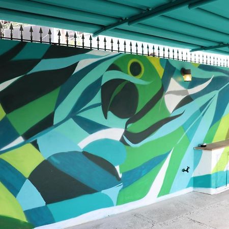 Mondo Verde Hostel 상파울루 외부 사진